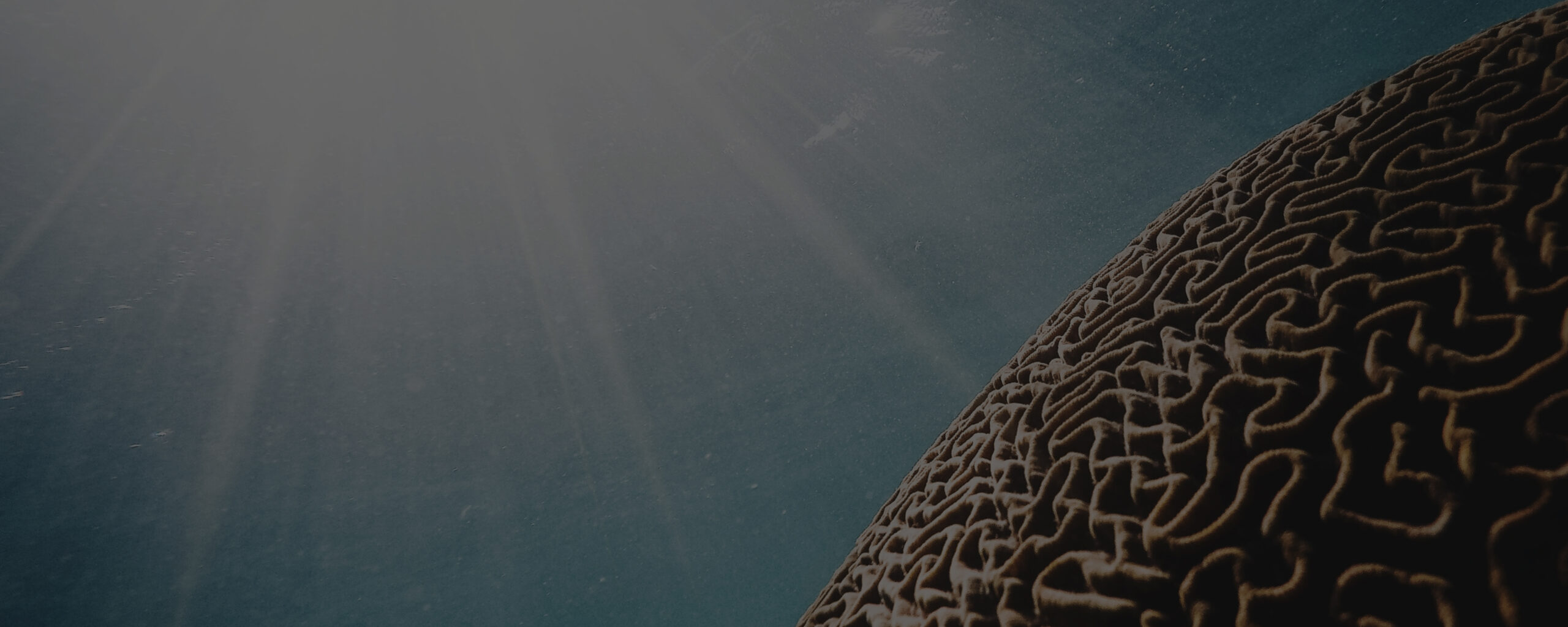 cognipy graph database development